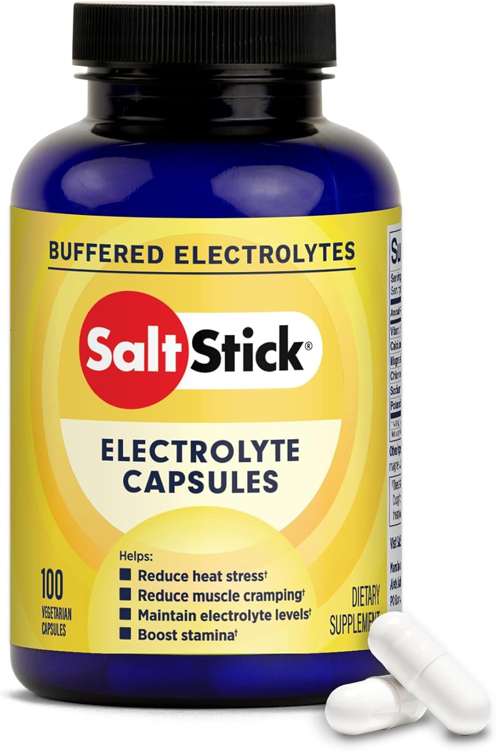 SaltStick Electrolyte Capsules with Vitamin D
