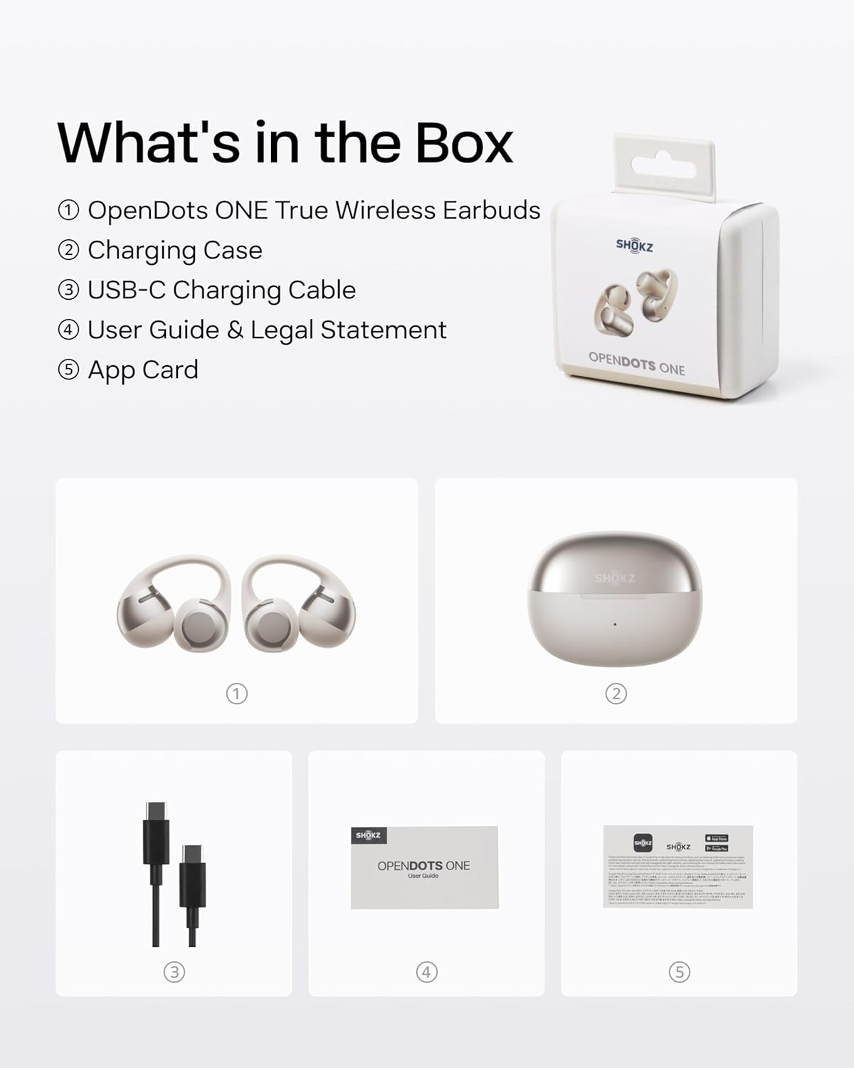 Shokz OpenDots ONE Grey-US