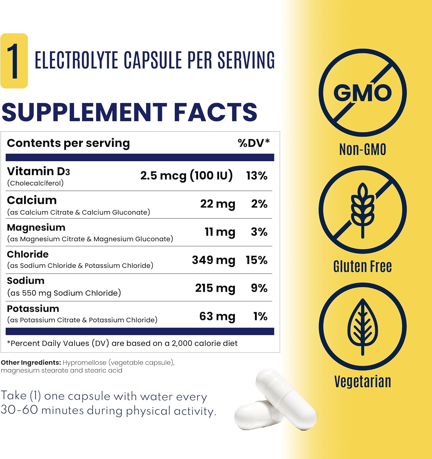 SaltStick Electrolyte Capsules with Vitamin D
